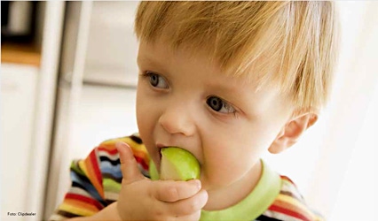 Programming for a Healthy Life by Complementary Feeding