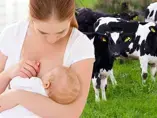 Breastfeeding & Cow Milk Protein Allergy