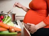 New research reveals how a mother’s nutrition during pregnancy impacts the health of her child through adulthood