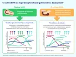 Infographic C-Section Birth and the Infant Gut Microbiota: Nutritional Strategies