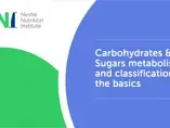 Carbohydrates & Sugars metabolism and classification: the basics