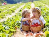 Healthy eating linked to kids' happiness  (news)