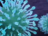 Coronavirus Information (news)