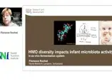HMO diversity impacts infant microbiota activity