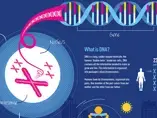 Epigenetics (infographics)