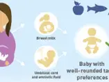 Influencing flavor perception and preference in infants for long-term health (infographics)