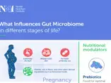 What Influences Gut Microbiome in different stages of life? (infographics)
