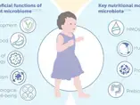 Effect of Nutrition on the Overall Health and Growth of Toddlers (infographics)