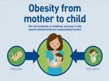 Obesity From Mother to Child (infographics)