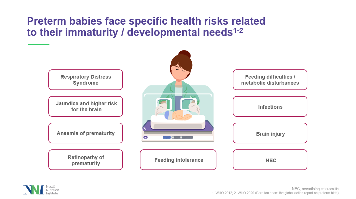 role of HMOs slide deck preview