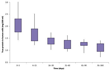 True protein in human milk over the first year of postpartum life