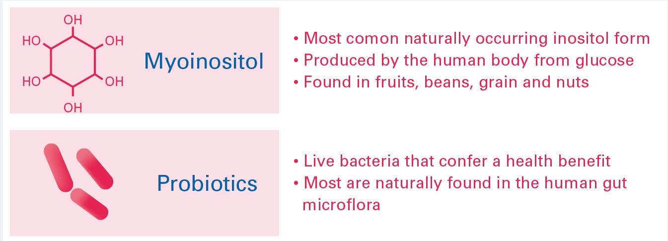 Two most promising bioactive
ingredients to reduce the risk of GDM.