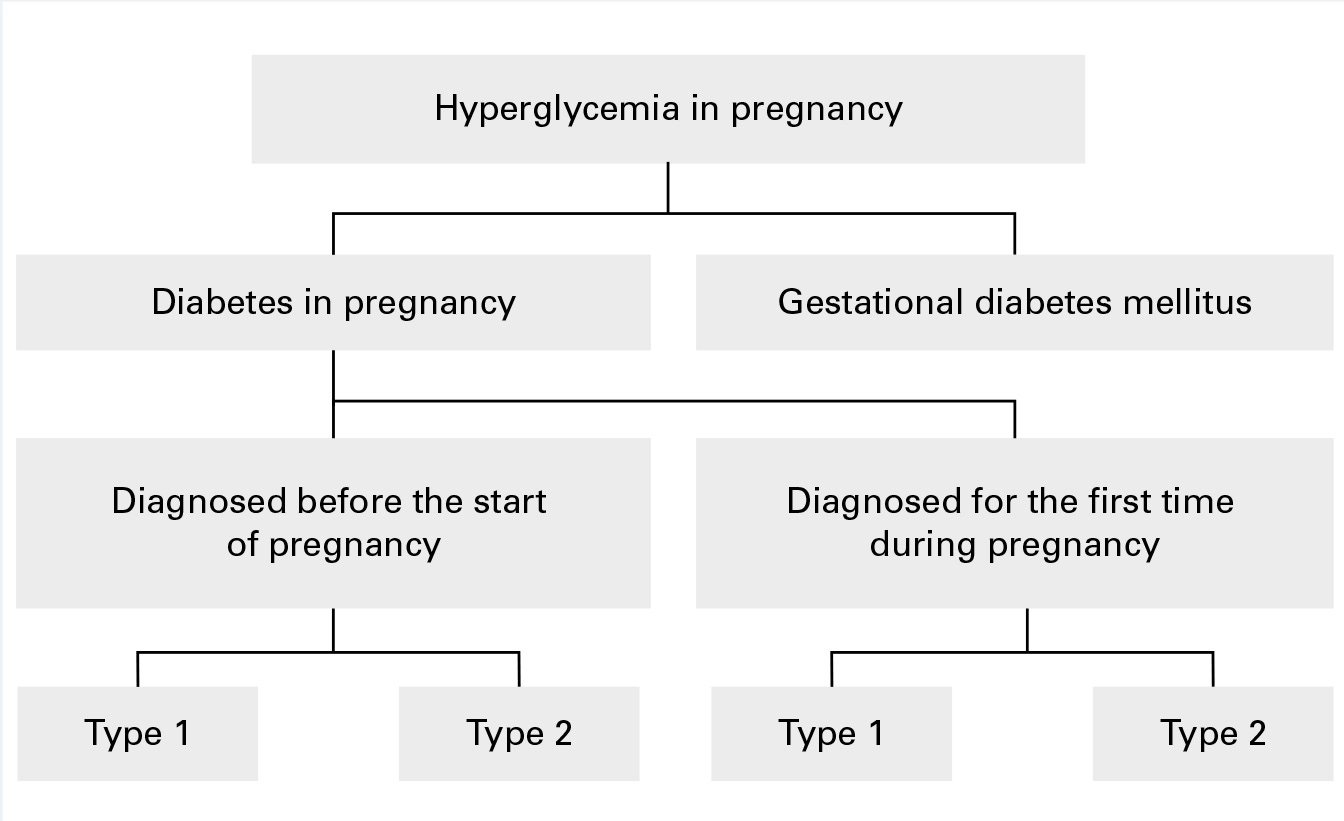 Types of hyperglycemia in pregnancy. Modified from Ref. 1.