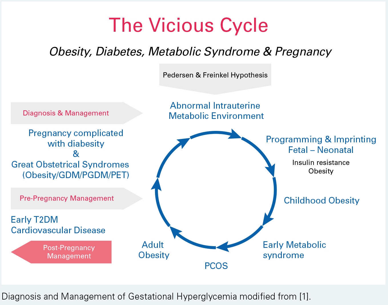 Diagnosis and Management of Gestational Hyperglycemia modified from [1].