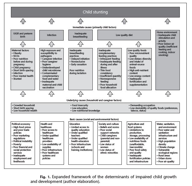 Child Stunting