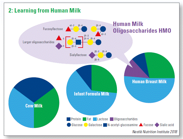 Learning from Human Milk