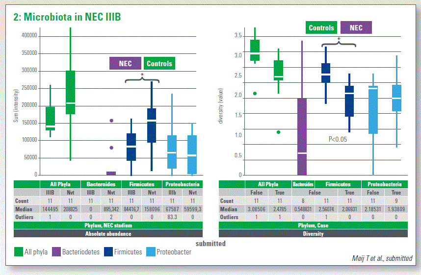 Microbiota in NEC IIIB