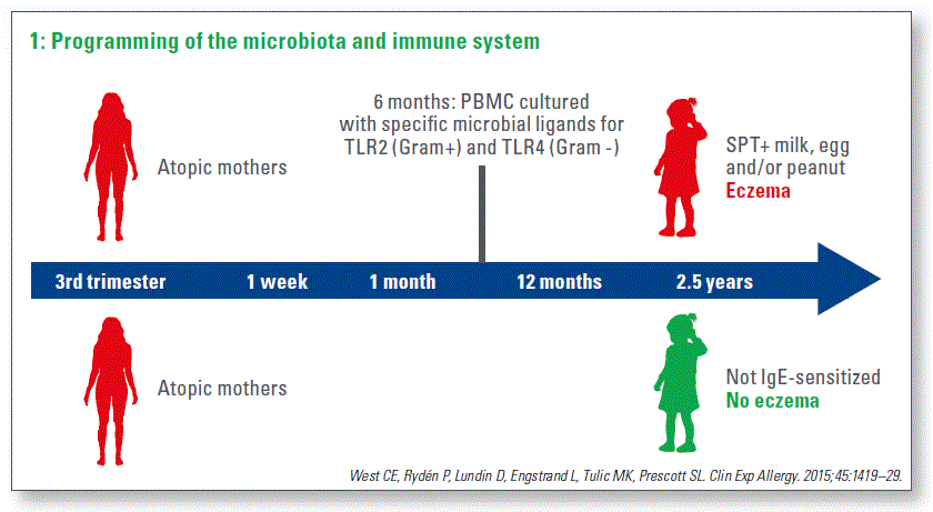 Programming of the microbiota and immune system