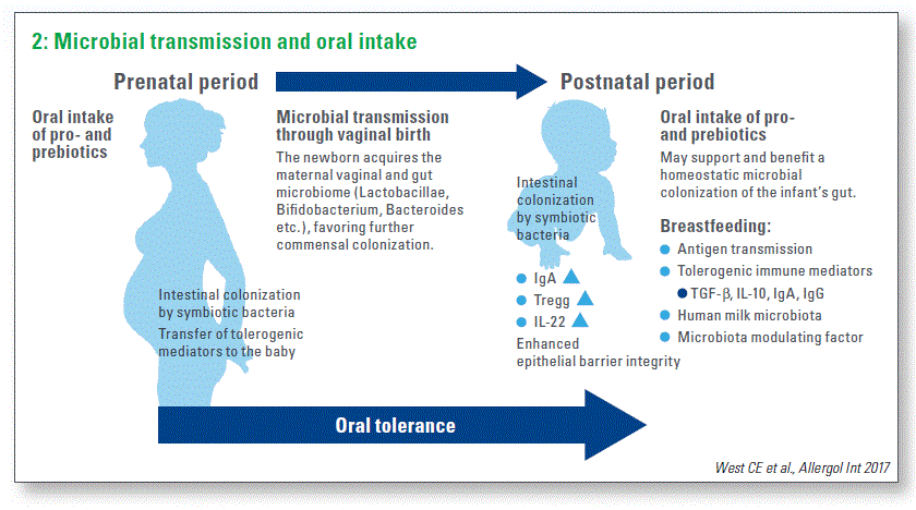 Microbial transmission and oral intake