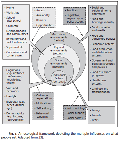 Ecological framework 