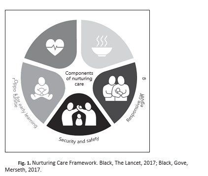 Nurturing Care Framework