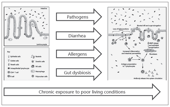 Nestle Image-Chronic exposure to poor living conditions