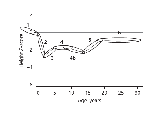 Nestle Image-Height Z-Score