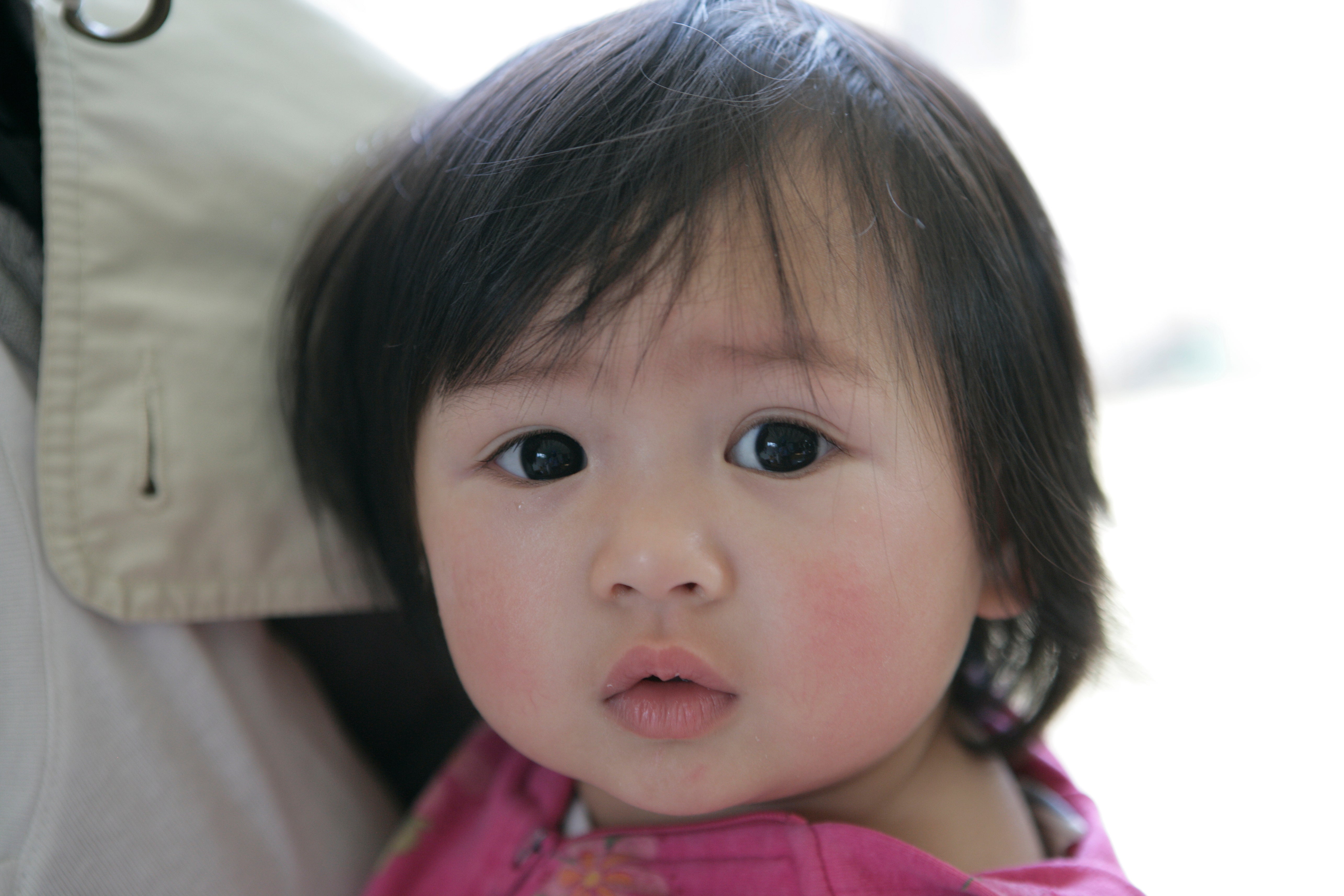 Probiotics in Allergic Disease: Are We There Yet Probiotics in Allergic Disease: Are We There Yet