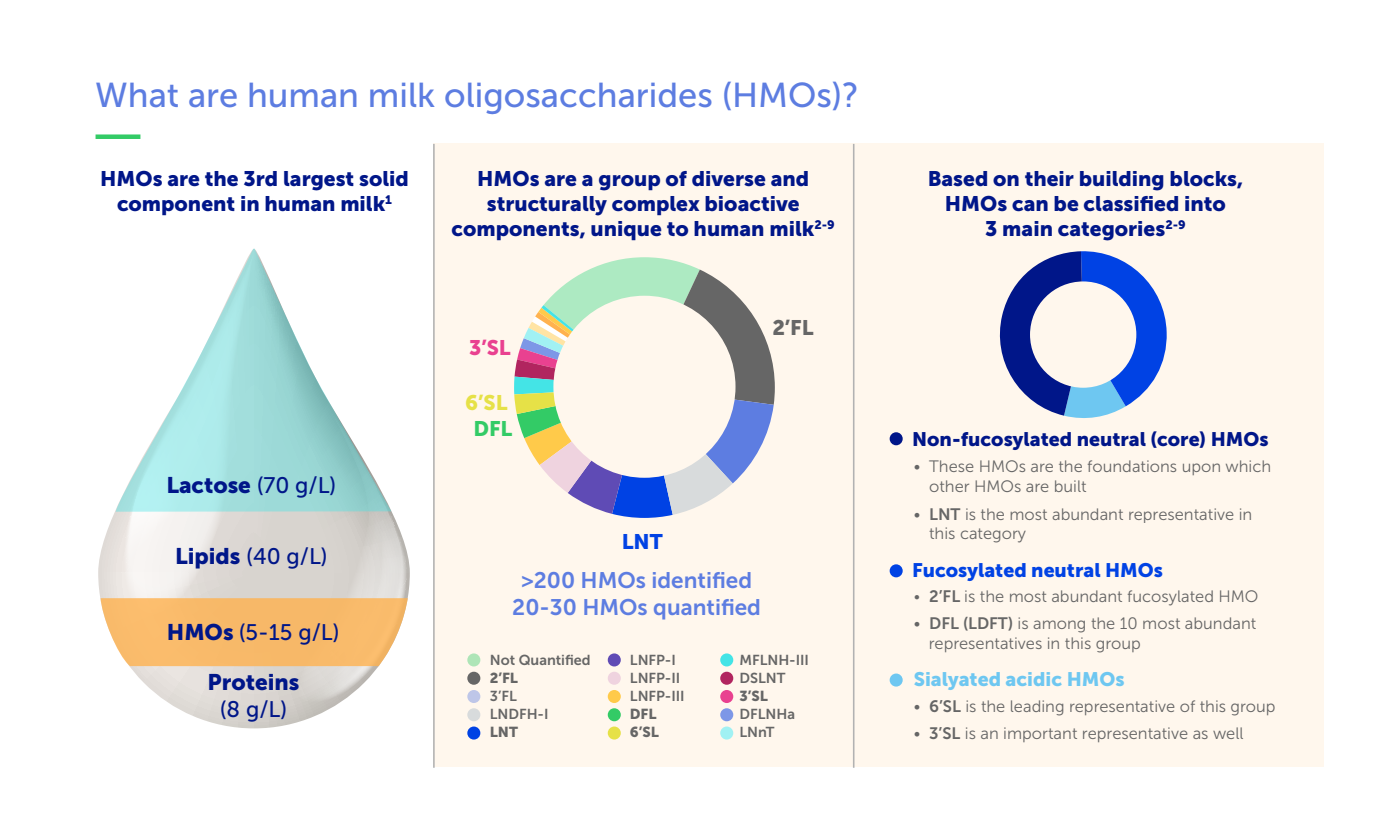 HMO infographic