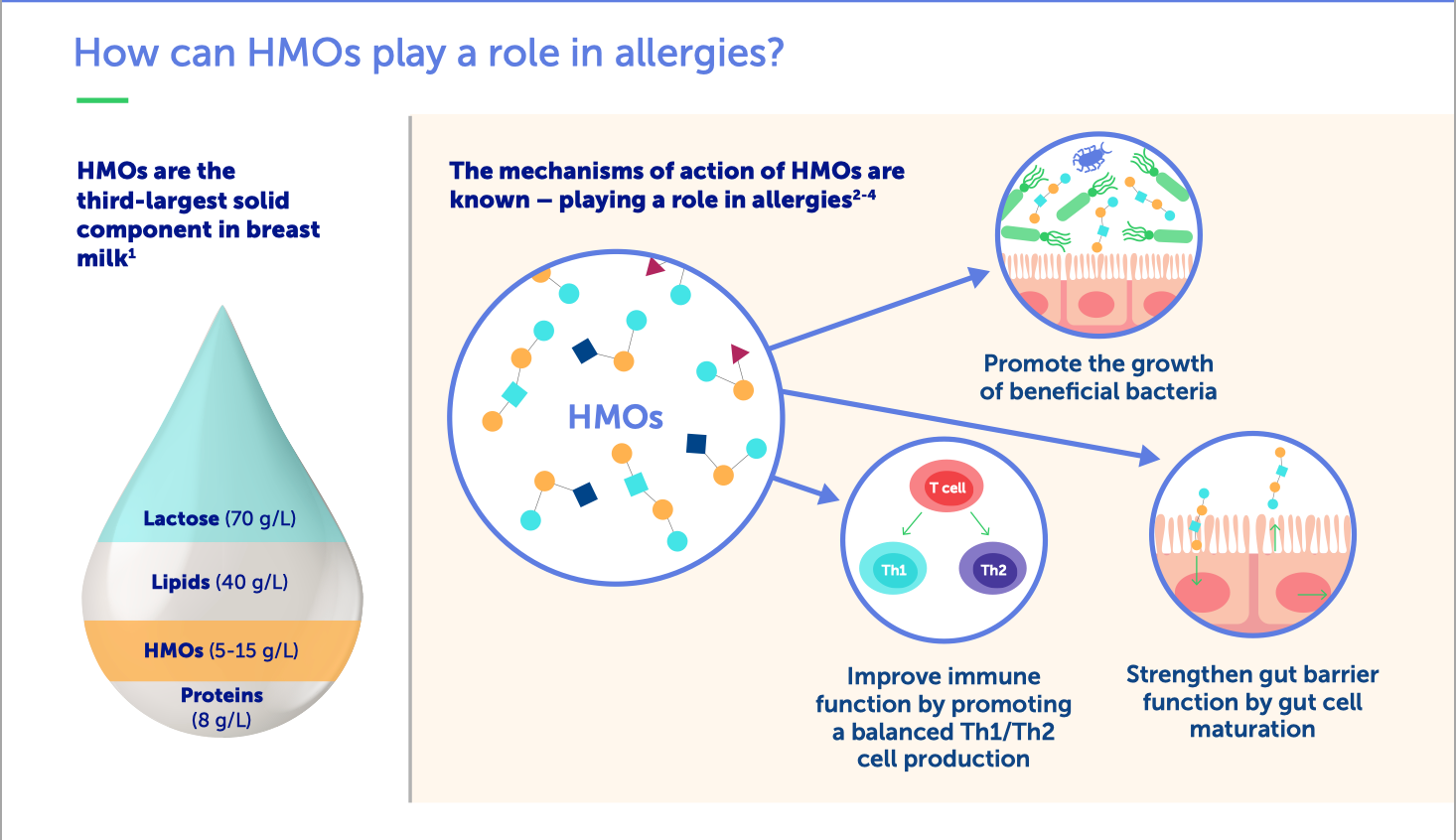 HMOs and Allergy