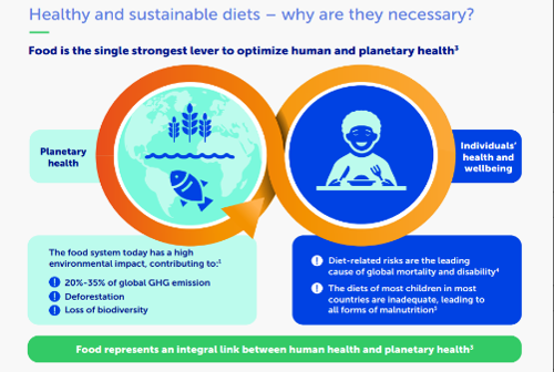 Healthy and sustainable nutrition for children: important considerations Healthy and sustainable nutrition for children: important considerations