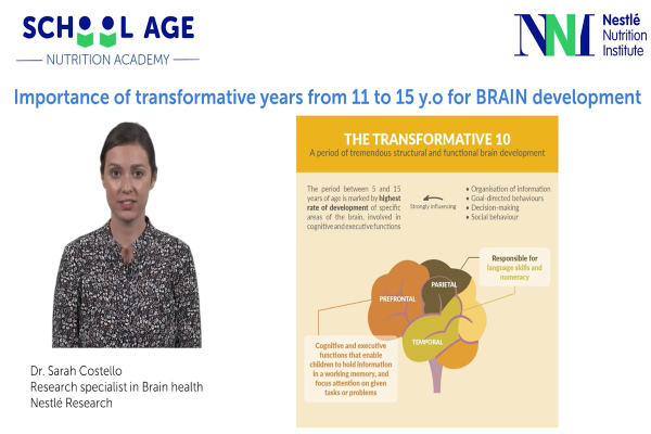 Importance of transformative years from 11 to 15 y.o for BRAIN development