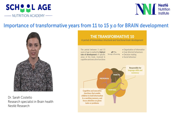 Importance of transformative years from 11 to 15 y.o for BRAIN development Importance of transformative years from 11 to 15 y.o for BRAIN development