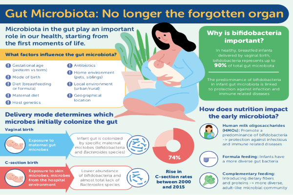 Infographic preview image