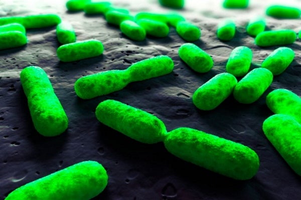 Nurturing the Early Life Gut Microbiome and Immune Maturation for Long Term Health Nurturing the Early Life Gut Microbiome and Immune Maturation for Long Term Health