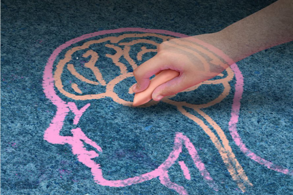 Nutrients for executive function development and related brain connectivity in school-aged children Nutrients for executive function development and related brain connectivity in school-aged children
