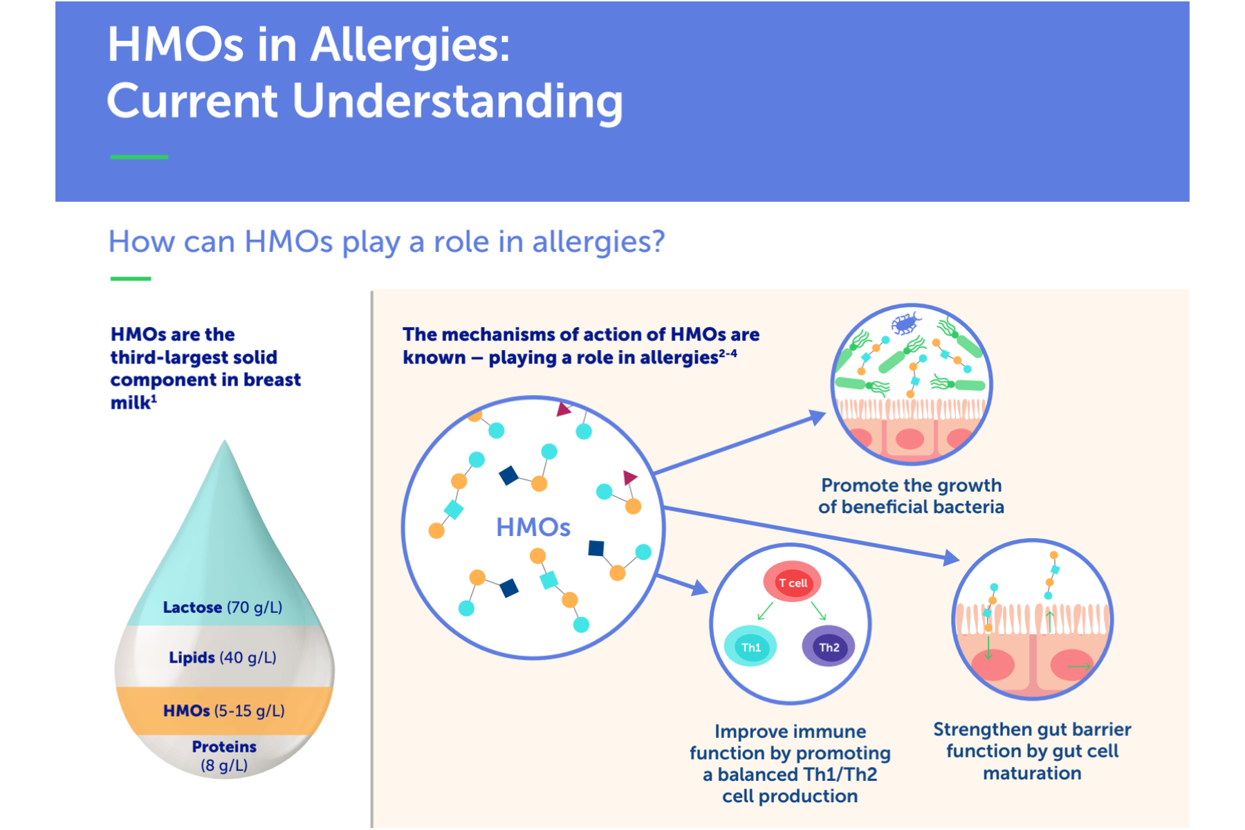 HMOs in Allergies: Current Understanding HMOs in Allergies: Current Understanding
