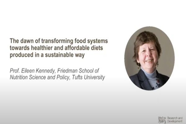The dawn of transforming food systems towards healthier and affordable diets 2