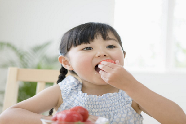 The Importance of Food Composition Data for Estimating Micronutrient Intake The Importance of Food Composition Data for Estimating Micronutrient Intake