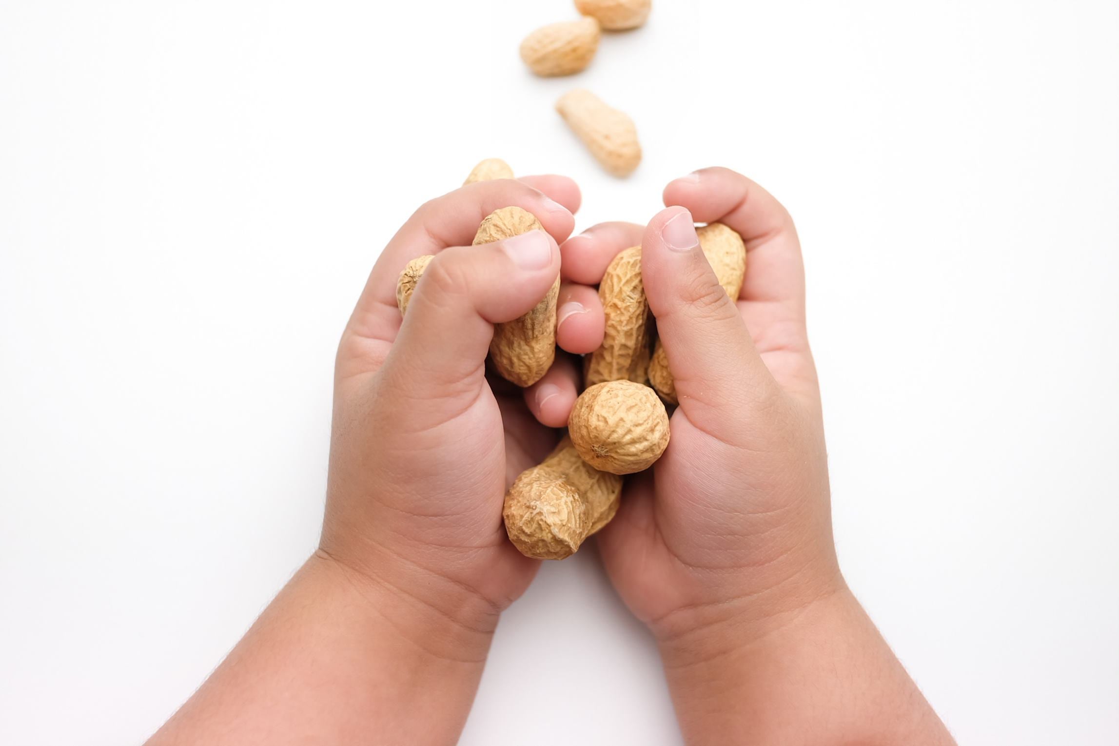 Avoiding Food Allergies: Keep in Mind The Big 9 Avoiding Food Allergies: Keep in Mind The Big 9