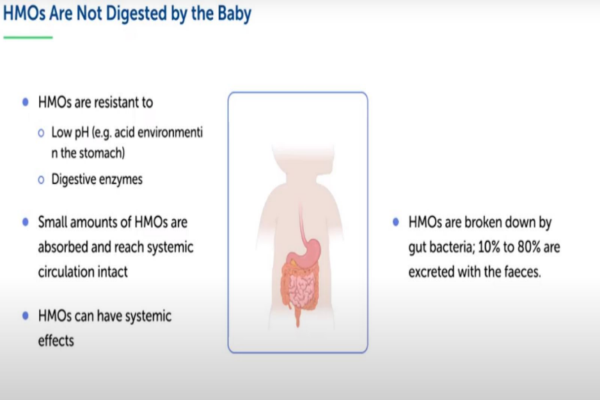 Lars Bode: The Science of HMO's what they are and what they do