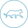 cat-icon cat-icon