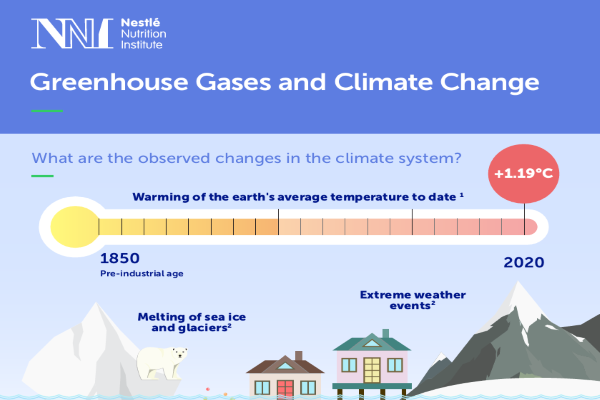 greenhouse gases infographic landscape.png greenhouse gases infographic landscape.png