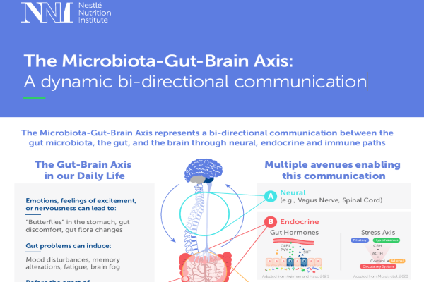 gut brain axis infographic landscape.png