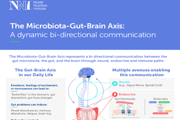 gut brain axis infographic landscape.png gut brain axis infographic landscape.png