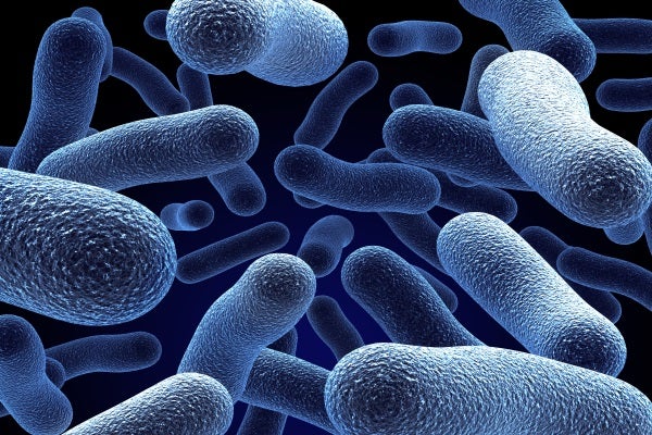 Ethnicity associations with food sensitization are mediated by gut microbiota development in the first year of life Ethnicity associations with food sensitization are mediated by gut microbiota development in the first year of life