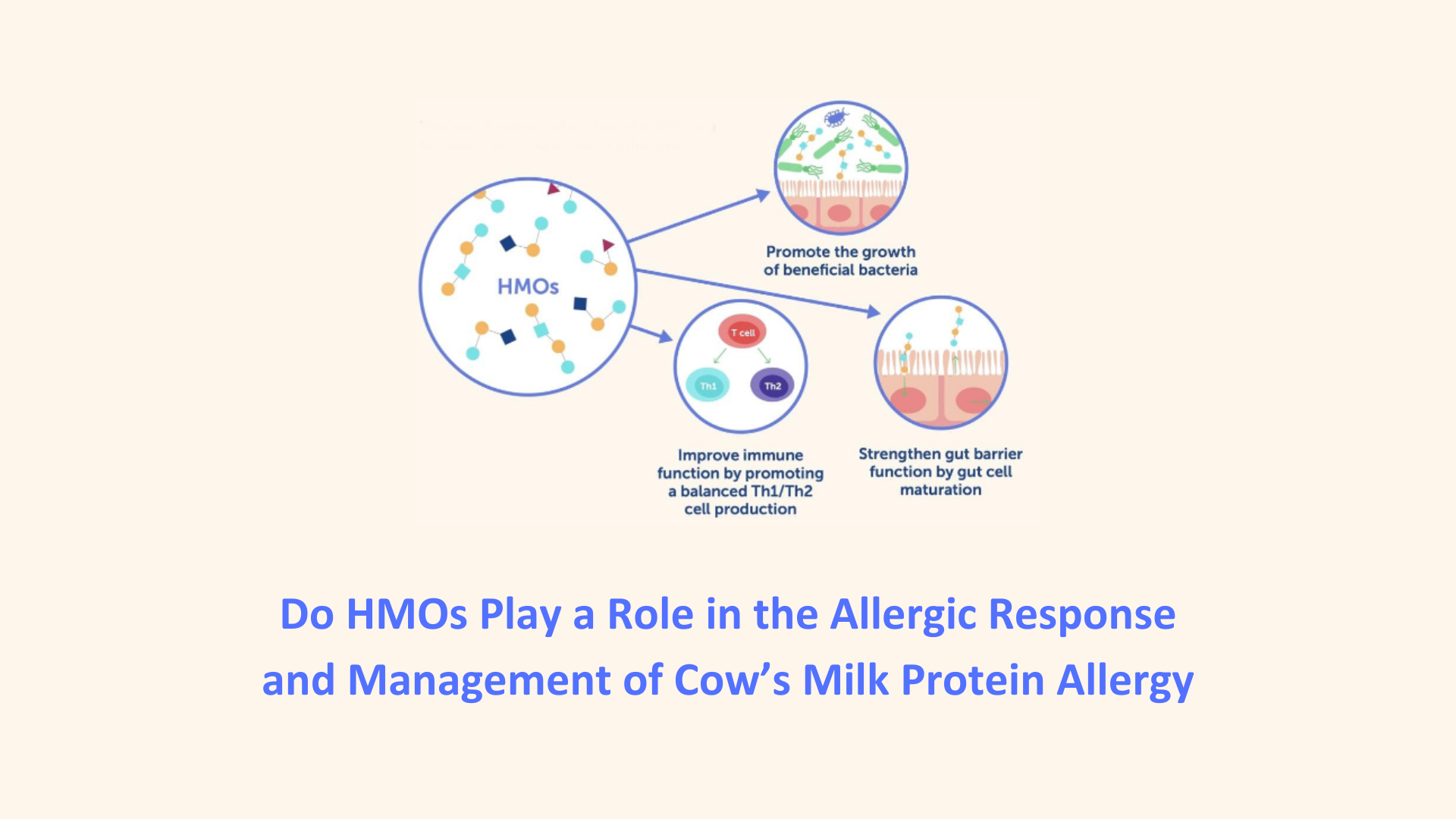 Do HMOs Play a Role in the Allergic Response and Management of Cow’s Milk Protein Allergy?