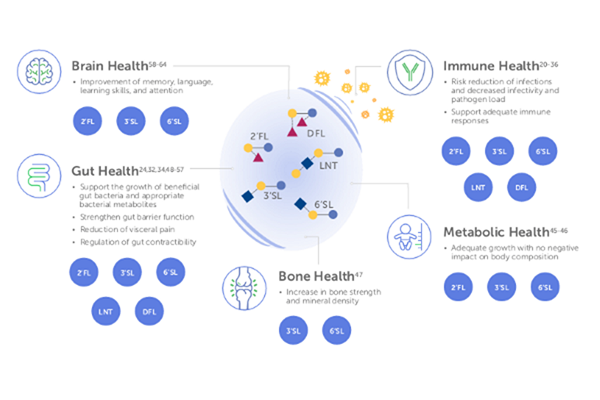 Human Milk Oligosaccharides: A Child's Health Guardian
