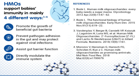 How do HMOs support babies immunity