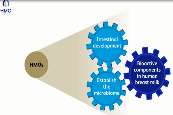 Sharon Donovan: Human Milk Oligosaccharides and Neonatal Immunity